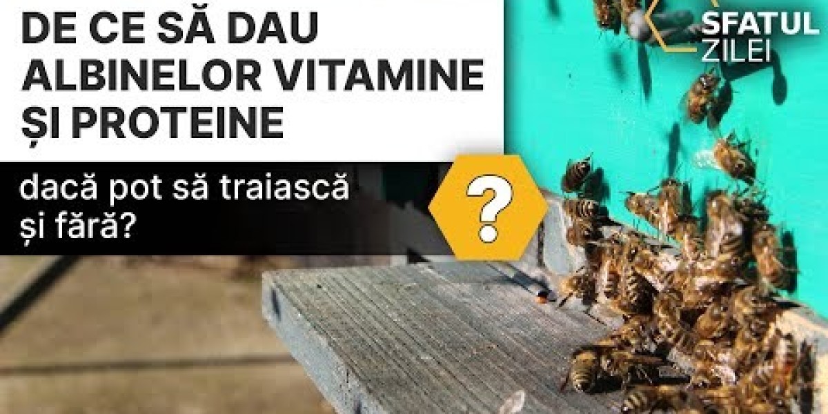 ¿Qué es la Biotina? Beneficios, Dosis y Alimentos